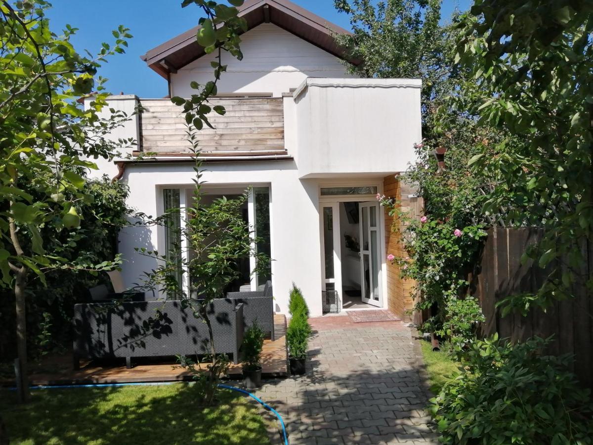 Casa Scheiana Acomodação com café da manhã Braşov Exterior foto