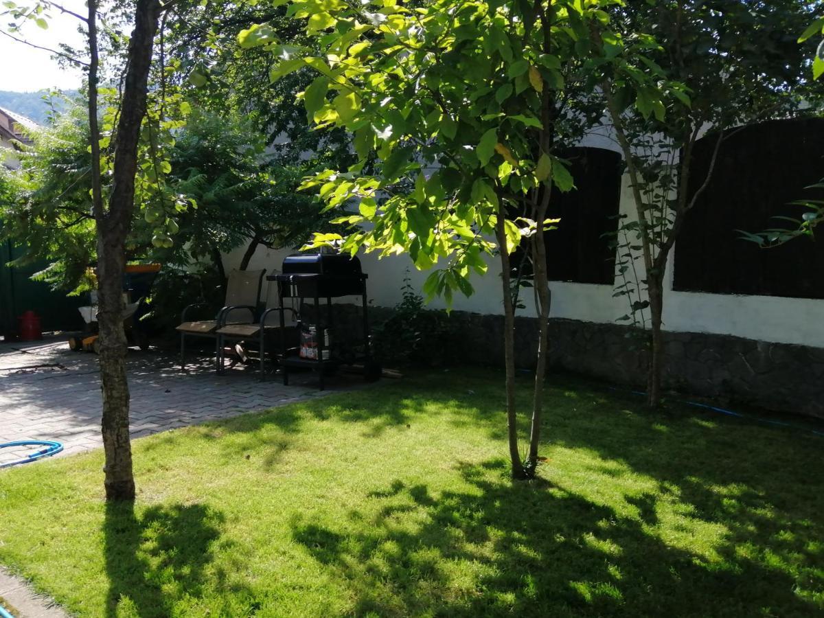 Casa Scheiana Acomodação com café da manhã Braşov Exterior foto