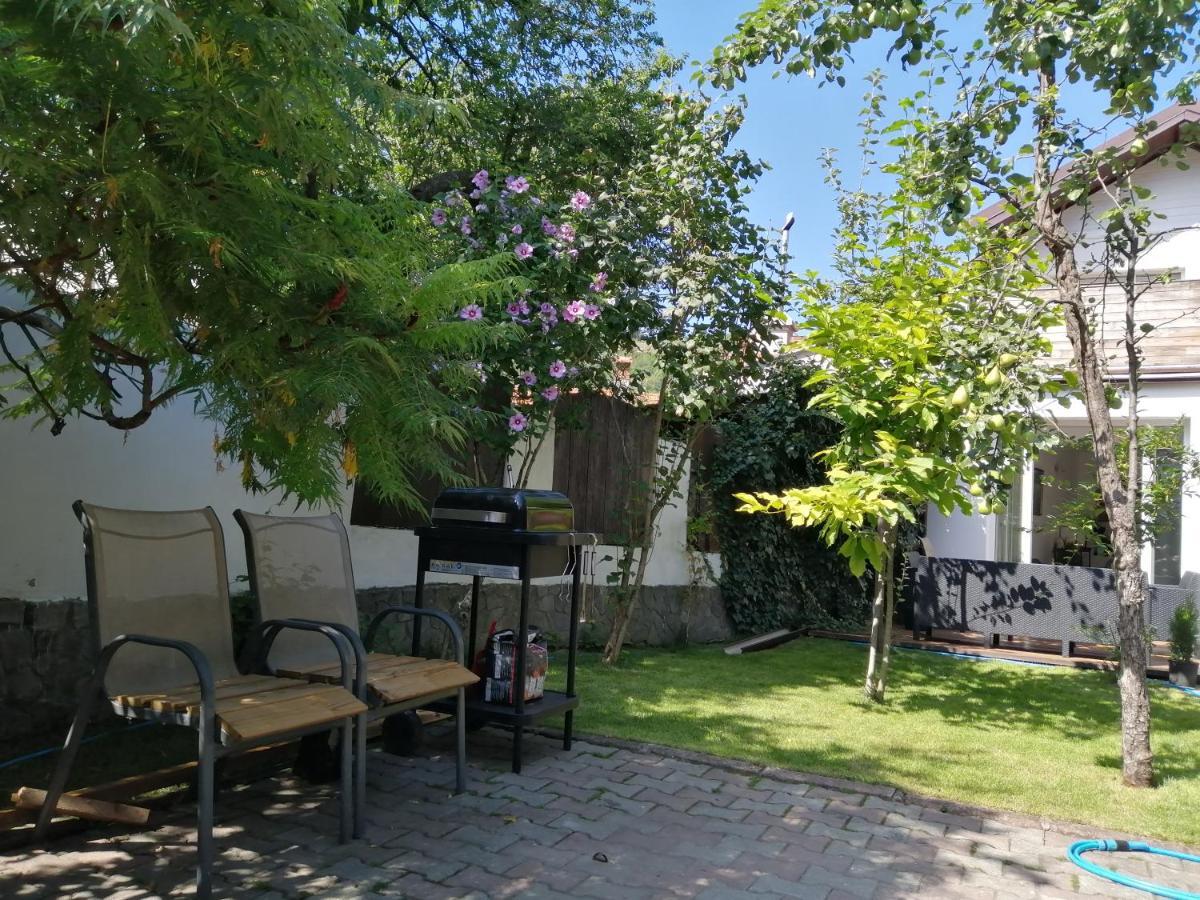 Casa Scheiana Acomodação com café da manhã Braşov Exterior foto