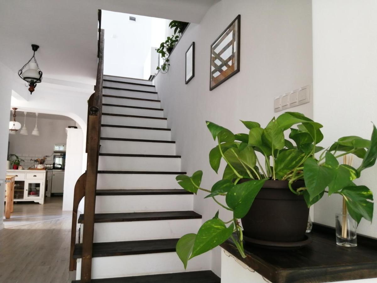Casa Scheiana Acomodação com café da manhã Braşov Exterior foto