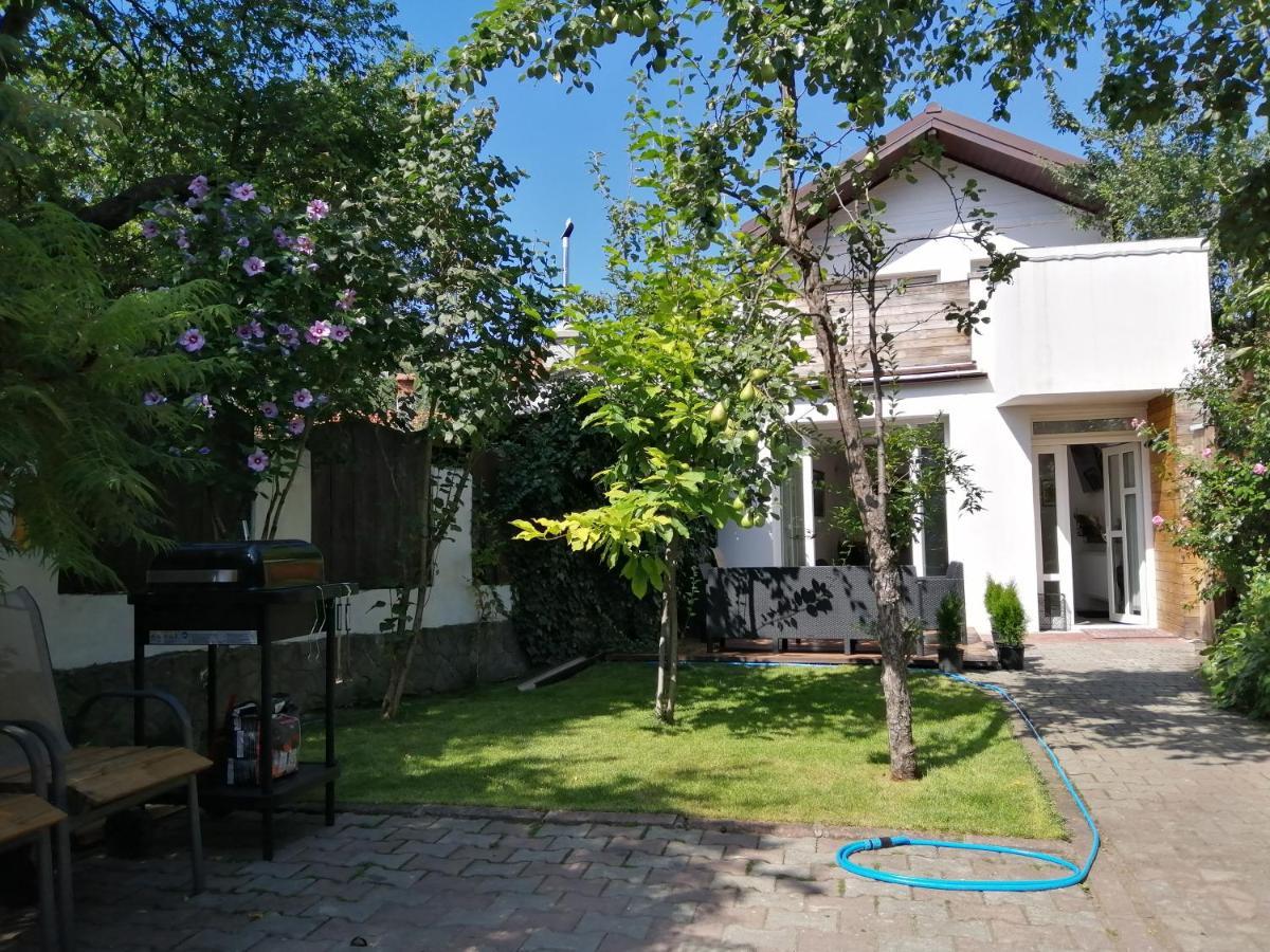 Casa Scheiana Acomodação com café da manhã Braşov Exterior foto