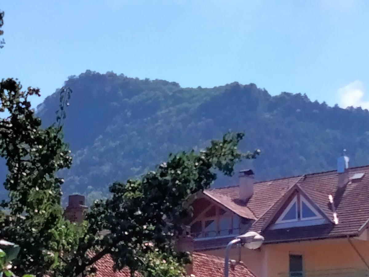 Casa Scheiana Acomodação com café da manhã Braşov Exterior foto