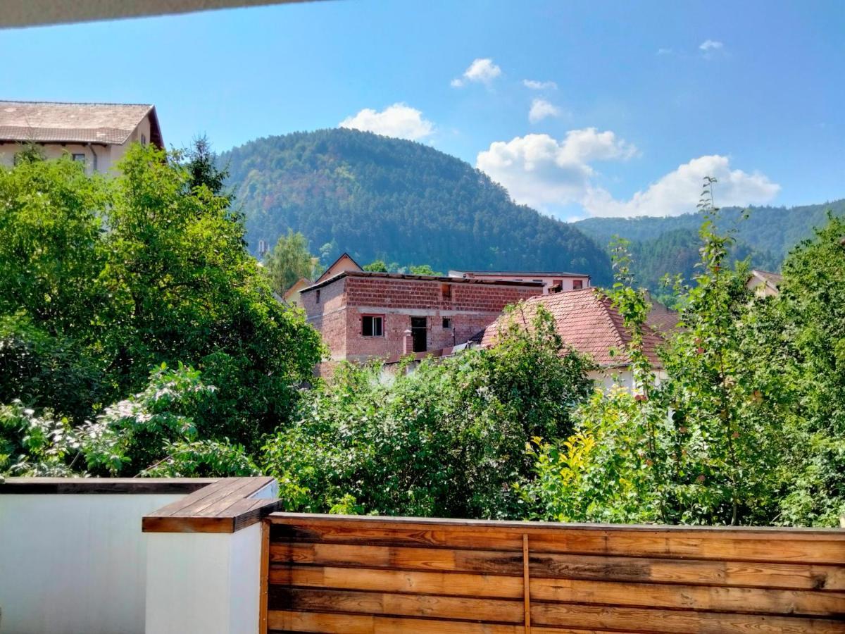 Casa Scheiana Acomodação com café da manhã Braşov Exterior foto